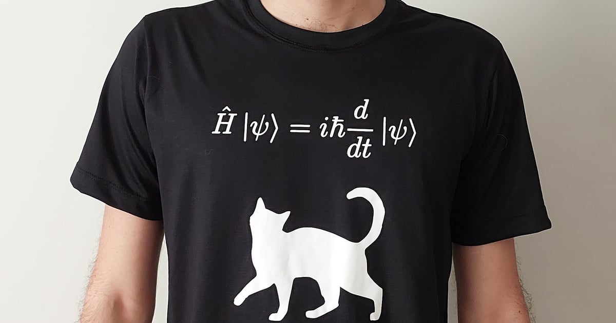 Camisa equação de Schroedinger Uai Física